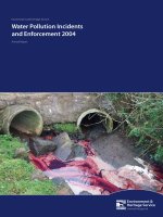 Environment and Heritage Service Water Pollution Incidents and Enforcement 2004 doc