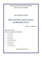 tiểu luận phân tích thực trạng áp dụng iso 9001 ;2008 tại satc
