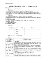 giáo án bài các vùng kinh tế trọng điểm – địa lý 12 - gv.trần thanh nhàn