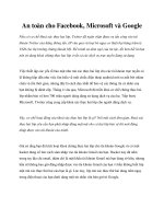 An toàn cho Facebook, Microsoft và Google potx