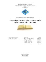 Tình hình thu hút FDI vào Việt Nam pdf