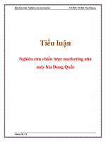 Tiểu luận: Nghiên cứu chiến lược marketing nhà máy bia Dung Quất pdf