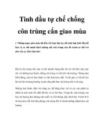 Tinh dầu tự chế chống côn trùng cắn giao mùa pptx
