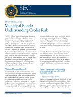 Municipal Bonds: Understanding Credit Risk pot