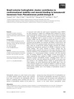 Báo cáo khoa học: Small exterior hydrophobic cluster contributes to conformational stability and steroid binding in ketosteroid isomerase from Pseudomonas putida biotype B pot