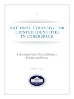 NATIONAL STRATEGY FOR TRUSTED IDENTITIES IN CYBERSPACE: Enhancing Online Choice, Efficiency, Security, and Privacy pptx
