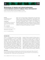 Báo cáo khoa học: Mechanisms of obesity and related pathologies: Transcriptional control of adipose tissue development pdf