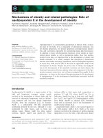 Báo cáo khoa học: Mechanisms of obesity and related pathologies: Role of apolipoprotein E in the development of obesity potx