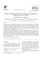 Effects of nutrient supply and soil cd con