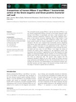 Báo cáo khoa học: Comparison of human RNase 3 and RNase 7 bactericidal action at the Gram-negative and Gram-positive bacterial cell wall pot