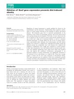 Báo cáo khoa học: Ablation of Sax2 gene expression prevents diet-induced obesity docx