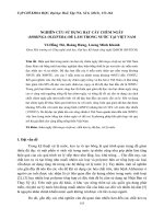 NGHIÊN CỨU SỬ DỤNG HẠT CÂY CHÙM NGÂY (MORINGA OLEIFERA) ĐỂ LÀM TRONG NƯỚC TẠI VIỆT NAM potx