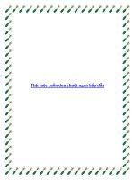 Thịt luộc cuốn dưa chuột ngon hấp dẫn docx