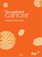 Occupational Cancer: A WORKPLACE GUIDE doc