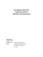 The Challenge for Indian MBA: Bridging the gap between Philip Kotler and Countryside India potx