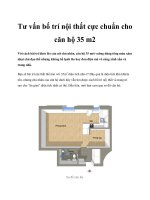 Tư vấn bố trí nội thất cực chuẩn cho căn hộ 35 m2 docx