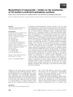 Báo cáo khoa học: Biosynthesis of isoprenoids – studies on the mechanism of 2C-methyl-D-erythritol-4-phosphate synthase pdf