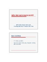 Siêu âm bạch huyết pdf