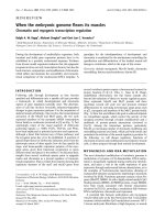 Báo cáo Y học: When the embryonic genome ﬂexes its muscles Chromatin and myogenic transcription regulation ppt