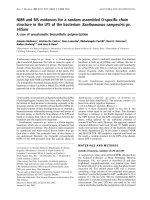 Báo cáo khoa học: NMR and MS evidences for a random assembled O-speciﬁc chain structure in the LPS of the bacterium Xanthomonas campestris pv. Vitians A case of unsystematic biosynthetic polymerization potx