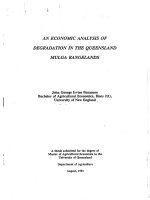 AN ECONOMIC ANALYSIS OF DEGRADATION IN THE QUEENSLAND MULGA RANGELANDS pot