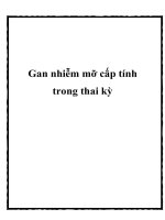Gan nhiễm mỡ cấp tính trong thai kỳ docx