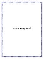 Hội họa Trung Hoa cổ docx