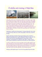 Ô nhiễm môi trường ở Nhật Bản potx