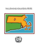 Cancer in Massachusetts by Race and Ethnicity, 2000-2004 pot