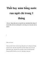 Thổi bay nám bằng nước rau ngót chỉ trong 1 tháng doc