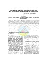 Đánh giá đặc điểm nông học của các dòng ngô mới được cải tạo bằng phương pháp BACKCROSS ppt