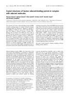 Báo cáo khoa học: Crystal structures of bovine odorant-binding protein in complex with odorant molecules doc