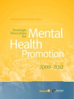 Division of the Chief Health Officer Strategic Directions for Mental Health Promotion 2009–2012 pptx