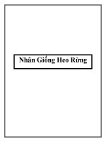 Nhân Giống Heo Rừng potx