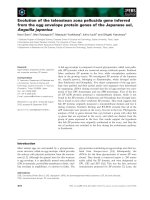 Báo cáo khoa học: Evolution of the teleostean zona pellucida gene inferred from the egg envelope protein genes of the Japanese eel, Anguilla japonica potx