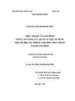 luận văn: THỰC TRẠNG VÀ GIẢI PHÁP NÂNG CAO NĂNG LỰC QUẢN LÝ VIỆC SỬ DỤNG MỘT SỐ PHỤ GIA TRONG CHẾ BIẾN THỰC PHẨM TẠI QUẢNG BÌNH pot