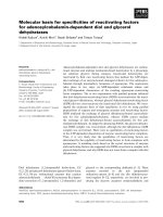Báo cáo khoa học: Molecular basis for speciﬁcities of reactivating factors for adenosylcobalamin-dependent diol and glycerol dehydratases pptx