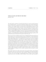 WHAT IS THE AESTHETIC REGIME? pptx