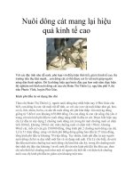 Nuôi dông cát mang lại hiệu quả kinh tế cao pdf