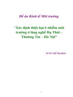 Đề án Kinh tế Môi trường “Xác định thiệt hại ô nhiễm môi trường ở làng nghề Hạ Thái – Thường Tín – Hà Nội” potx