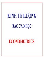 BÀI GIẢNG KINH TẾ LƯỢNG BẬC CAO HỌC pdf