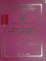 Nghiên cứu mô hình hoạt động của các công ty xuyên quốc gia và phương pháp áp dụng cho doanh nghiệp Việt Nam