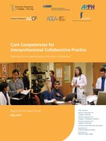 Core Competencies for Interprofessional Collaborative Practice docx