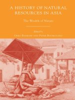 A History of Natural Resources in Asia pptx