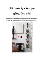 Giá treo cây cảnh gọn gàng, đẹp mắt docx