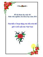 Đề tài:Tìm hiểu về hoạt động rửa tiền trên thế giới và đề xuất cho Việt Nam docx