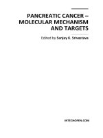 Pancreatic Cancer – Molecular Mechanism and Targets Edited by Sanjay K. Srivastava potx