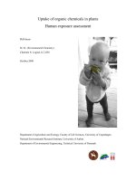 Uptake of organic chemicals in plants Human exposure assessment ppt
