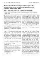 Báo cáo Y học: Probing intermolecular protein–protein interactions in the calcium-sensing receptor homodimer using bioluminescence resonance energy transfer (BRET) potx