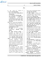 dictionary c (FILEminimizer)